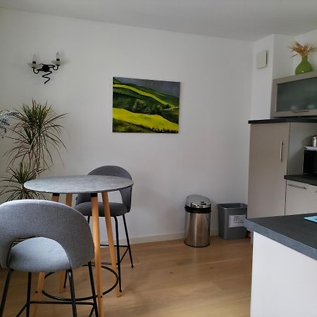 Appartement Salamandre Орлеан Екстериор снимка