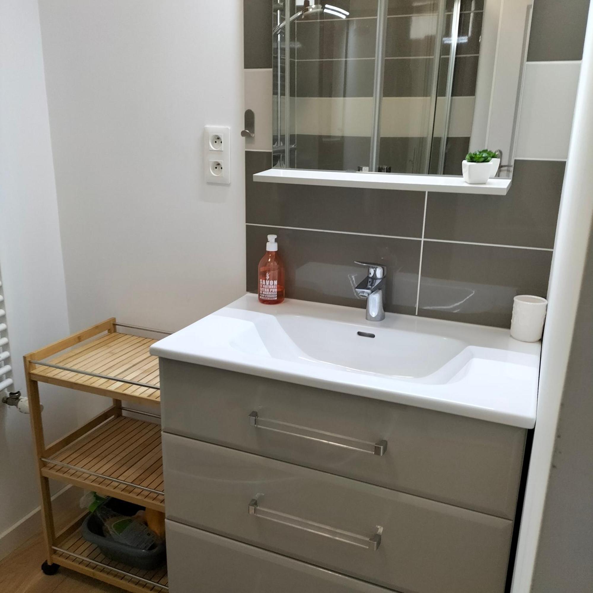 Appartement Salamandre Орлеан Екстериор снимка